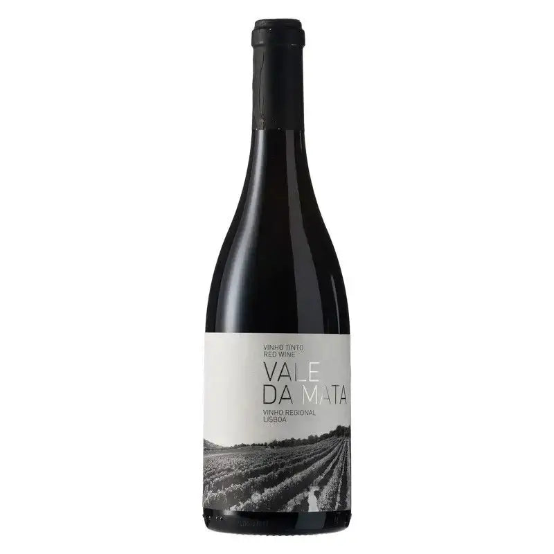 'Vale de Mata' Red, Lisboa Wine Review