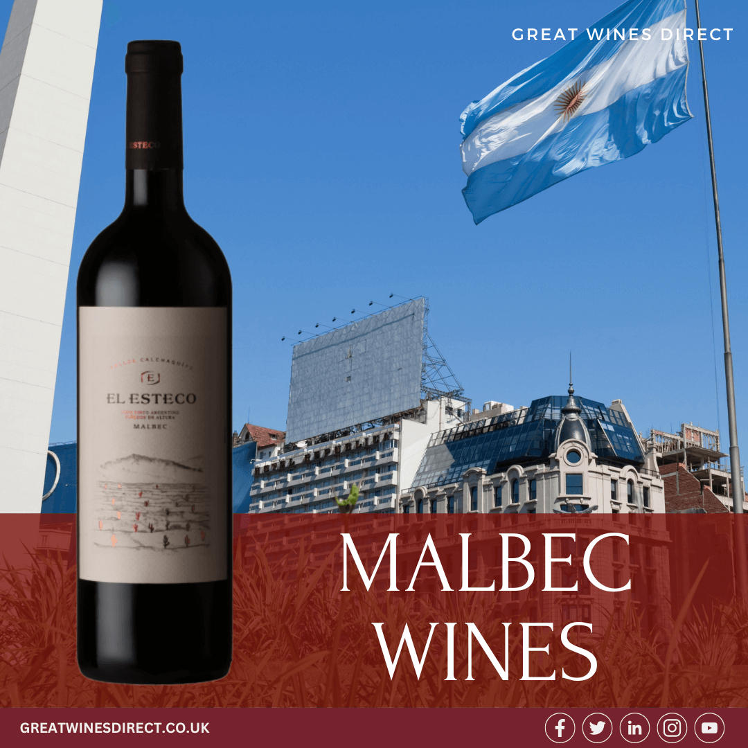 Discover the Finest Malbec Wines – Available at Great Wines Direct