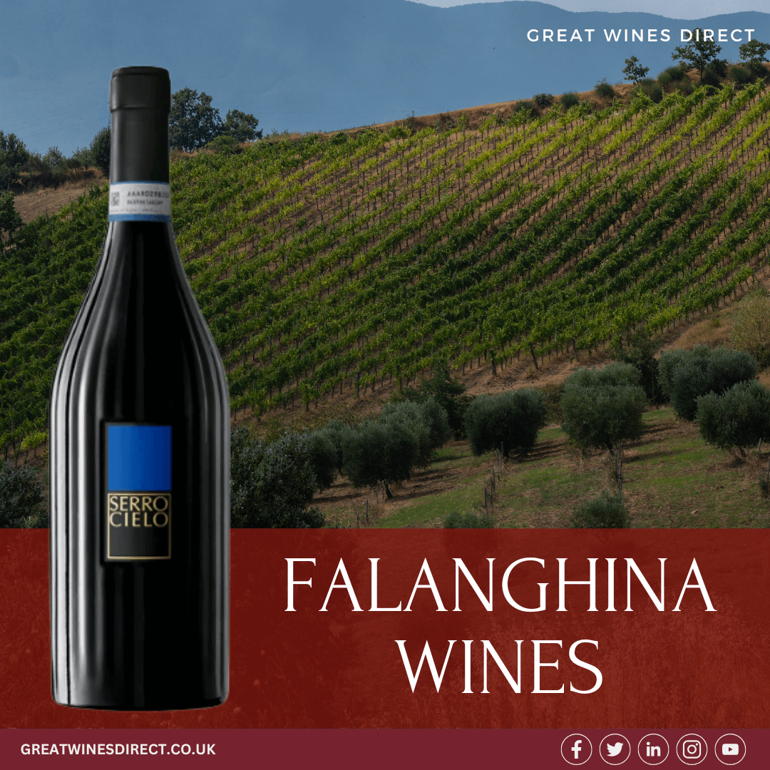 Falanghina Wines by Great Wines Direct – The Finest Italian White Wine