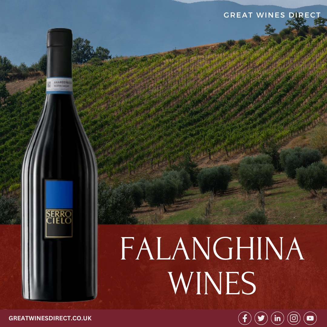 Falanghina Wines by Great Wines Direct – The Finest Italian White Wine