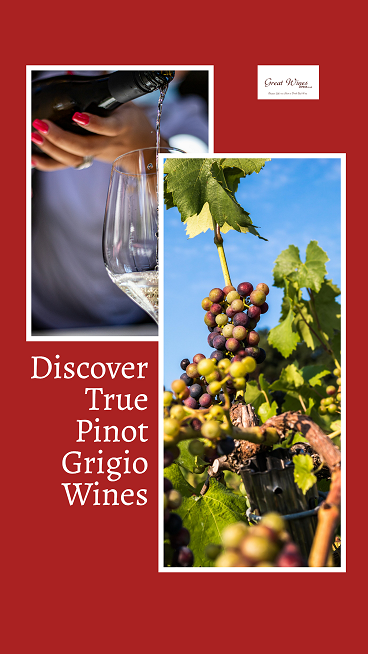 pinot grigio wines