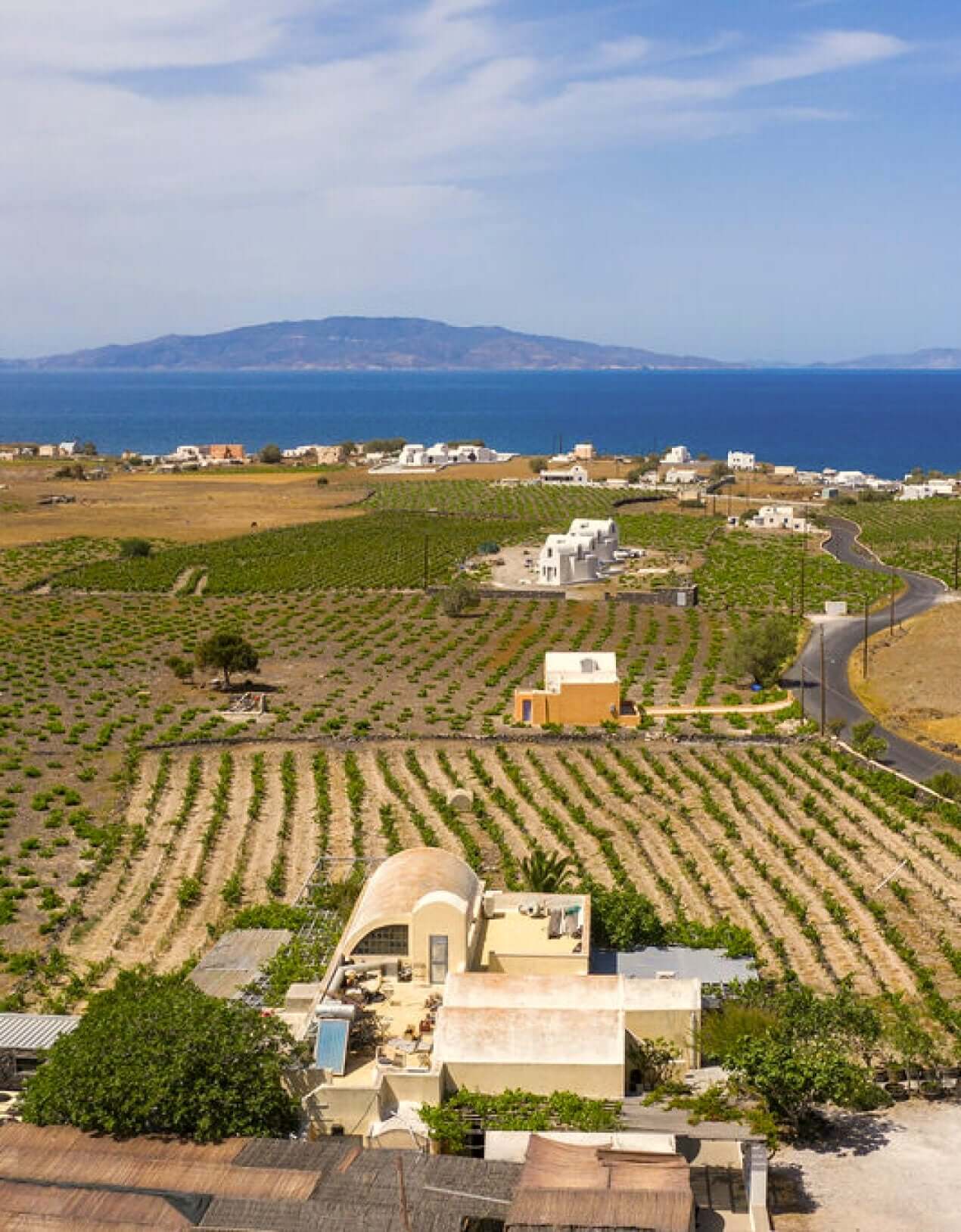 Hidden Gems: The Best Sigalas Greek Wines You Haven't Tried Yet