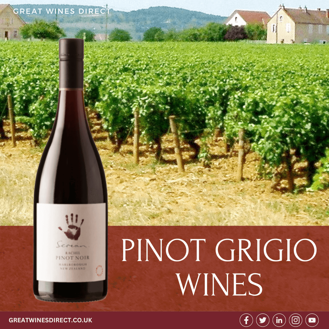 Pinot Grigio Wines by Great Wines Direct The Ultimate Selection