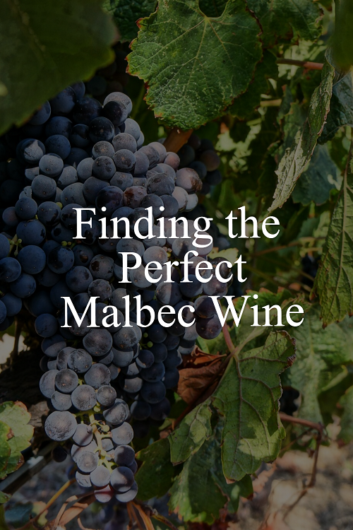 finding the perfect malbec wine