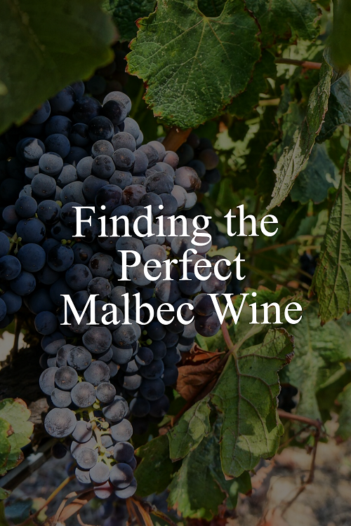 The Surprising Secret to Finding the Perfect Malbec Wine