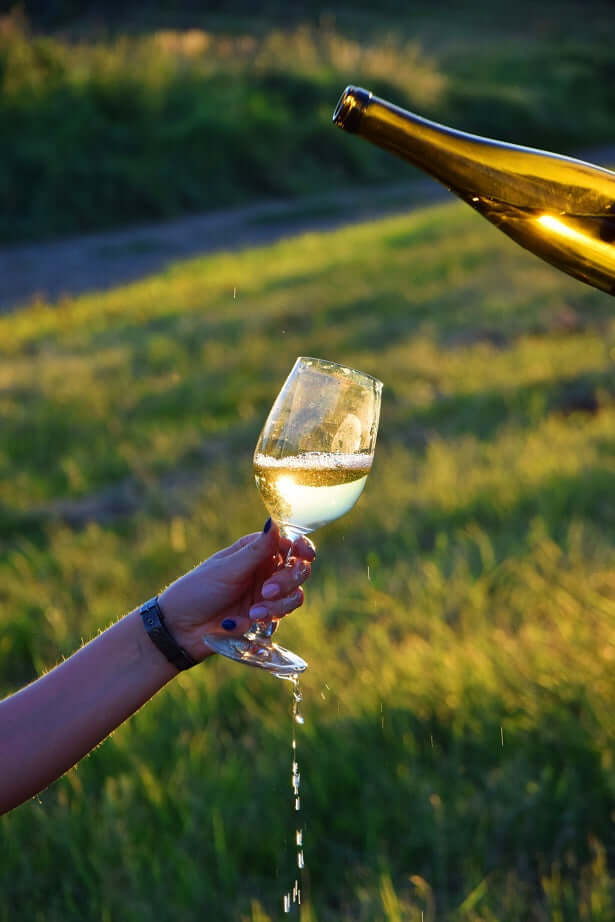 The Art of Enjoying White Wines: Top Picks and Hidden Gems from Around the World