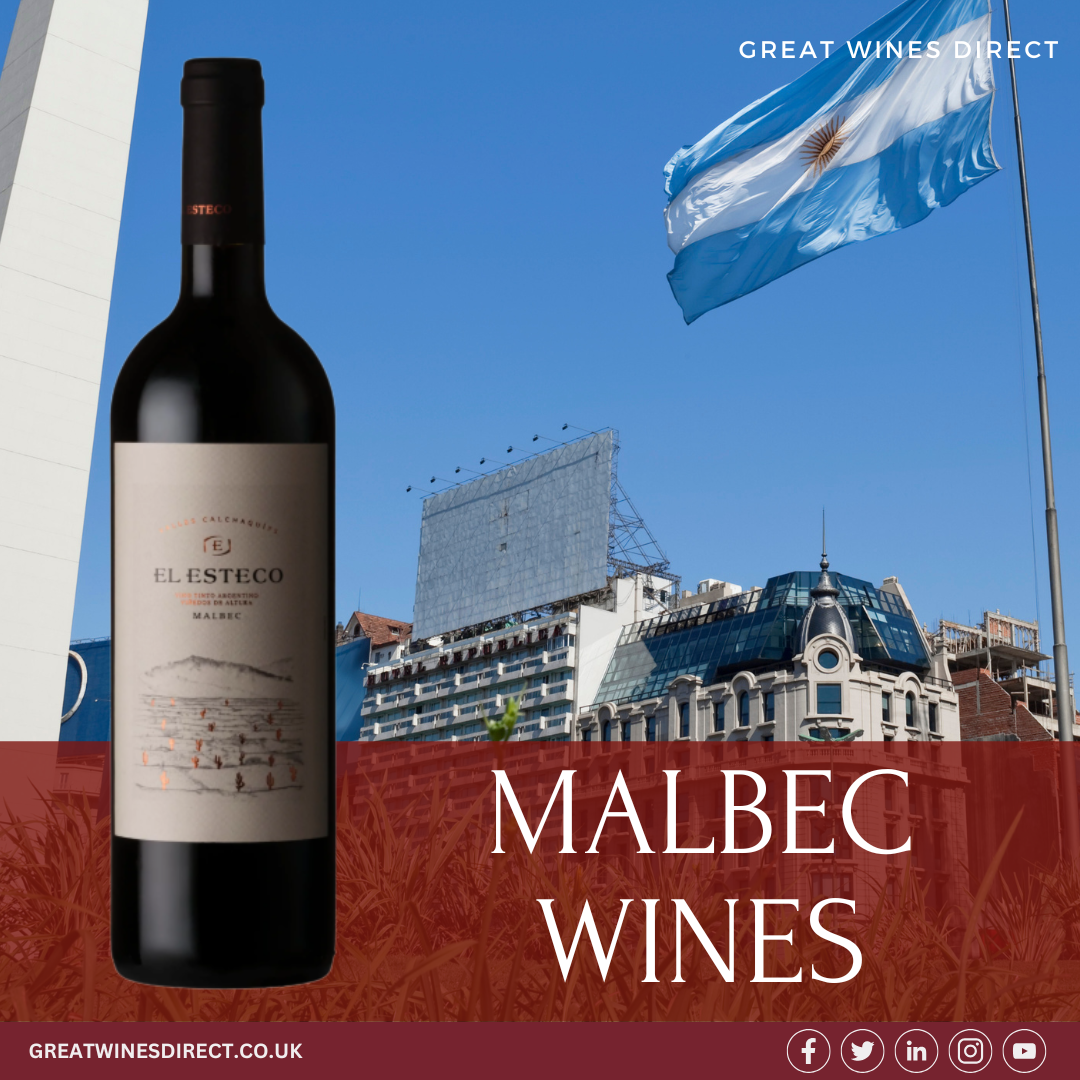 Discover the Finest Malbec Wines – Available at Great Wines Direct