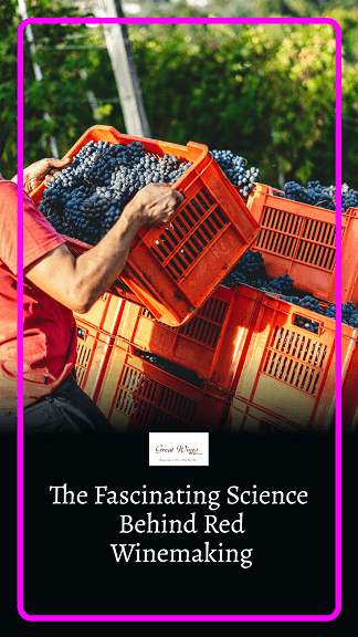 The Fascinating Science Behind Red Winemaking