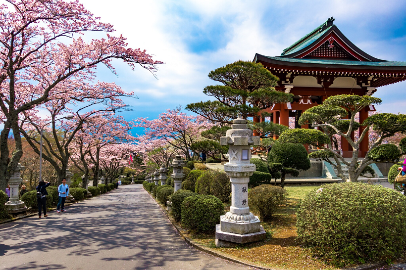 japanese wineries