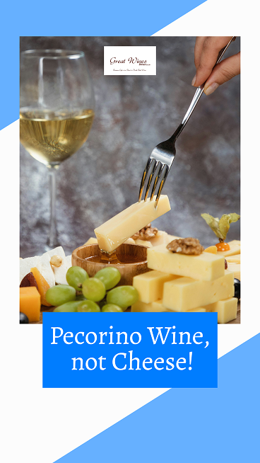 pecorino wine, white wine from great wines direct