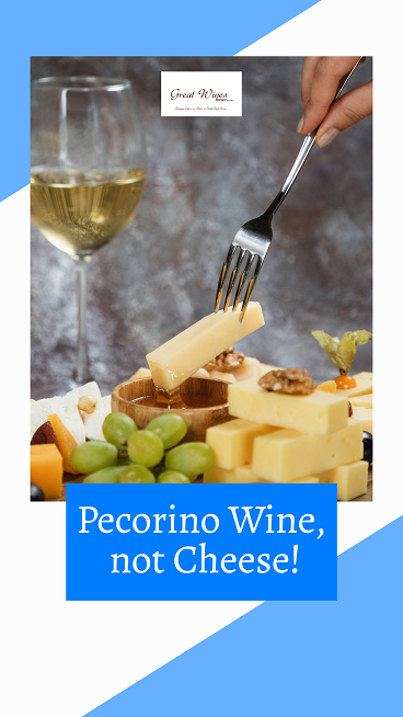 Pecorino Wine, not Cheese!