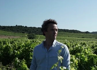 Why Olivier Coste is Revolutionising Winemaking in the South of France