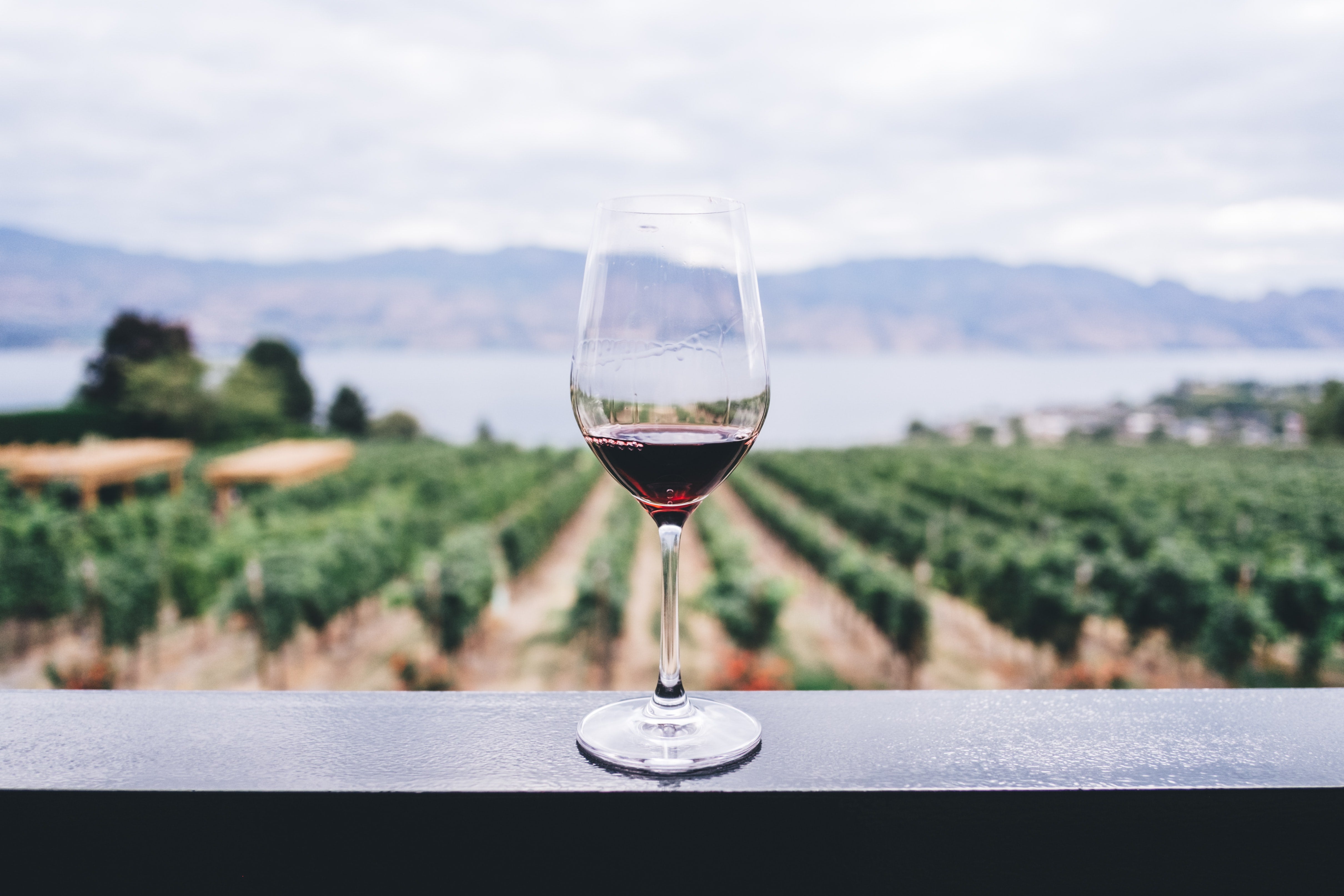 soil and taste of wine