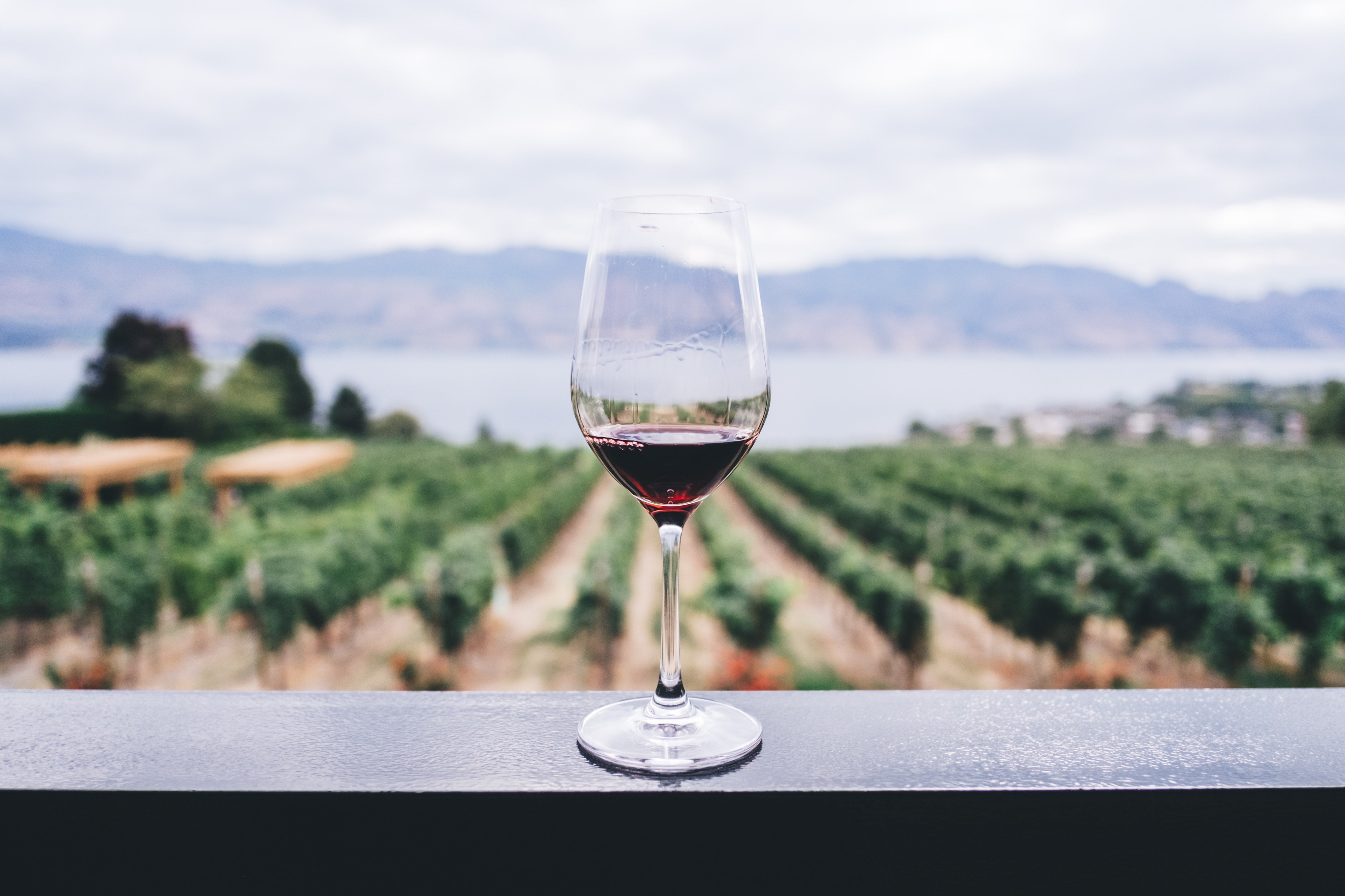 Why Geology Matters in Wine: The Science of Soil and Taste