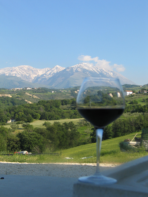 Discover the Magic of the wines of Montepulciano d'Abruzzo