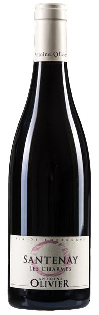 Antoine Olivier, Les Charmes Rouge, Santenay 2023 75cl