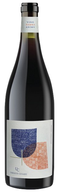 Thumbnail for Umberto Cesari, Emilia Romagna, Amphora, Sangiovese 2021 75cl