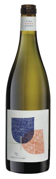Thumbnail for Umberto Cesari, Emilia Romagna, Amphora, Trebbiano 2023 75cl