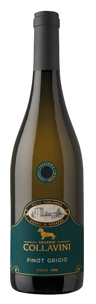 Collavini, Villa Canlungo, Collio, Friuli-Venezia Giulia, Pinot Grigio 2025 75cl
