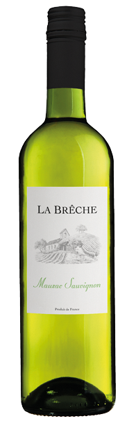Les Vignobles Alain Gayrel, La Breche, Cotes de Tarn, Mauzac Sauvignon  2022 75cl