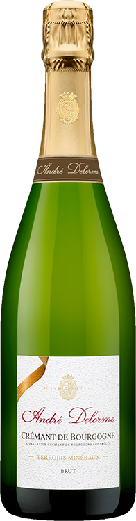 Andre Delorme, Cremant de Bourgogne Brut NV 75cl