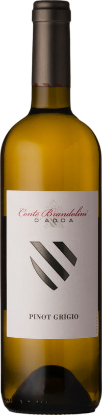Thumbnail for Brandolini Pinot Grigio DOC Friuli 2025 75cl