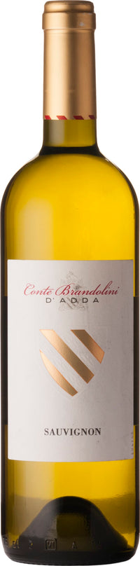 Thumbnail for Vistorta Brandolini Sauvignon Bianco DOC Friuli 2023 75cl - Buy Vistorta Wines from GREAT WINES DIRECT wine shop