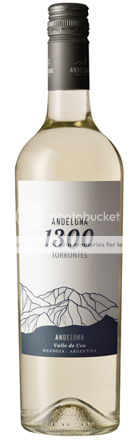 Thumbnail for Andeluna '1300', Uco Valley, Torrontes 2024 75cl
