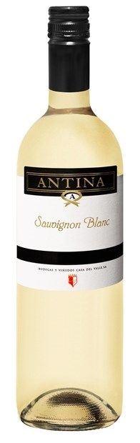 Thumbnail for Casa del Valle, 'Antina', Tierra de Castilla, Sauvignon Blanc 2023 75cl - Buy Casa del Valle Wines from GREAT WINES DIRECT wine shop