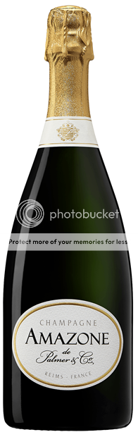 Thumbnail for Champagne Palmer, Amazone de Palmer NV 75cl