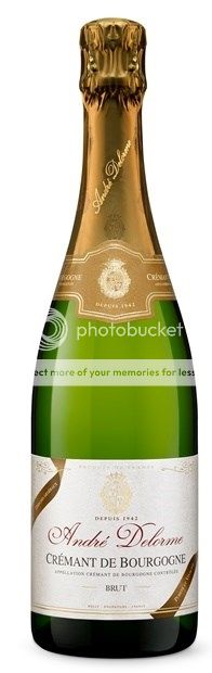 Thumbnail for Andre Delorme, Cremant de Bourgogne Brut NV 75cl