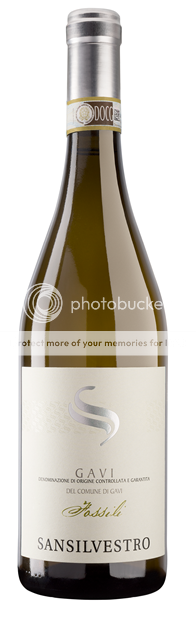 Thumbnail for San Silvestro 'Fossili', Gavi del Comune di Gavi 2024 75cl