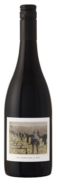 Language of Yes, Santa Maria Valley, Grenache 2022 75cl