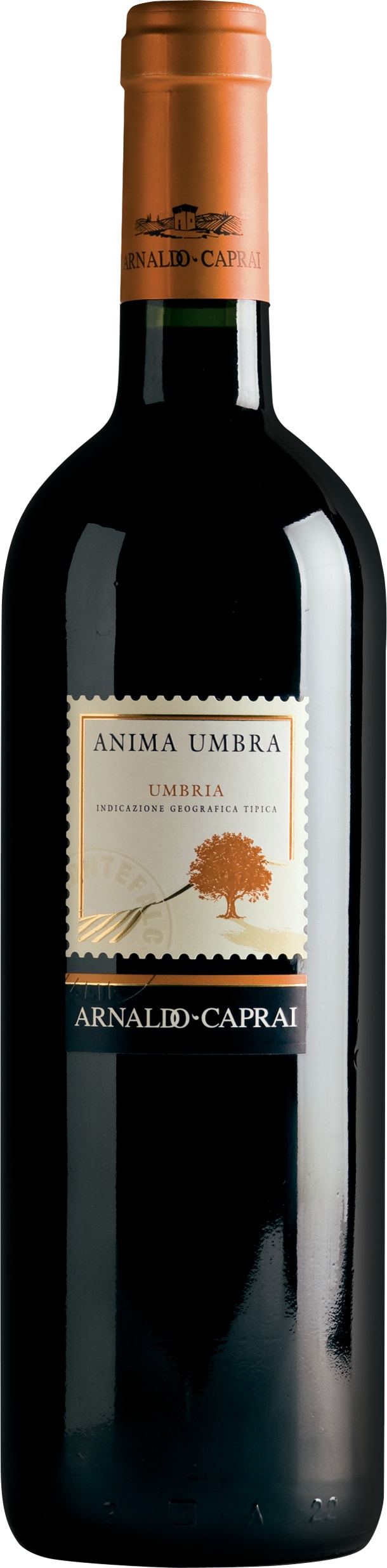 Arnaldo Caprai Anima Umbra Rosso 2020 75cl - Buy Arnaldo Caprai Wines from GREAT WINES DIRECT wine shop