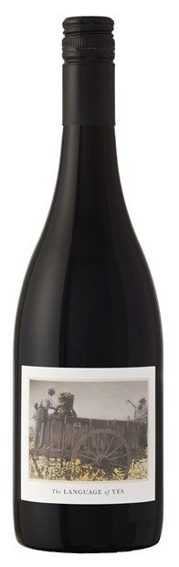 Thumbnail for Language of Yes, Santa Maria Valley, Syrah 2020 75cl