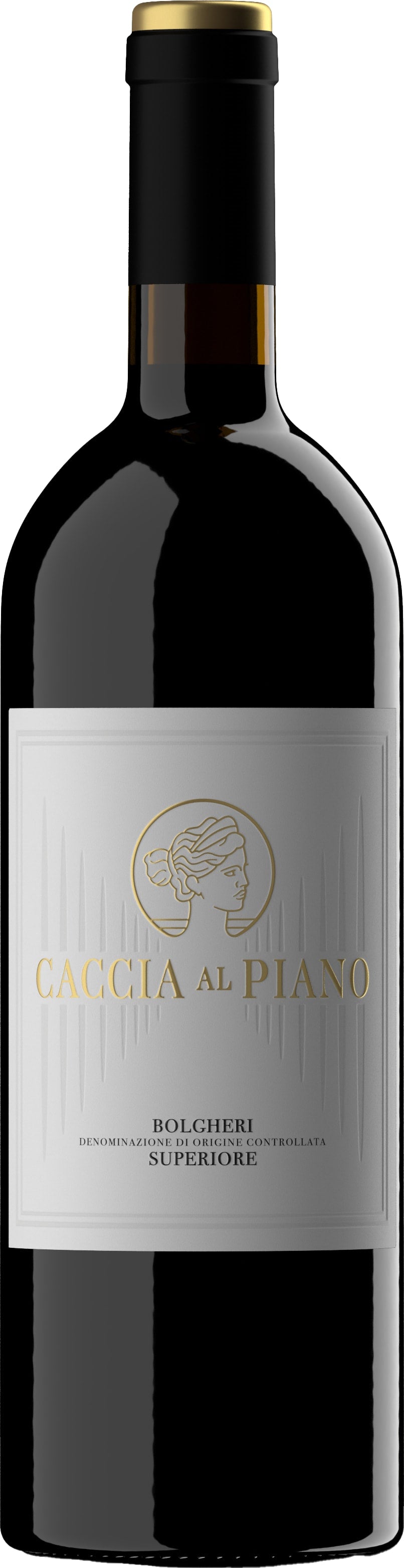 Caccia al Piano Bolgheri Superiore DOC 2021 75cl