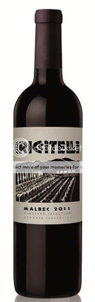 Matias Riccitelli 'Vineyard Selection', Lujan de Cuyo, Malbec 2021 75cl