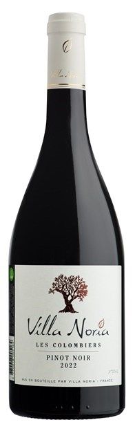 Villa Noria, Les Colombiers, Pays d'Oc, Pinot Noir 2023 75cl - Buy Villa Noria Wines from GREAT WINES DIRECT wine shop