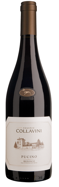 Collavini 'Pucino', Friuli-Venezia Giulia, Refosco dal Peduncolo Rosso 2022 75cl - Buy Collavini Wines from GREAT WINES DIRECT wine shop