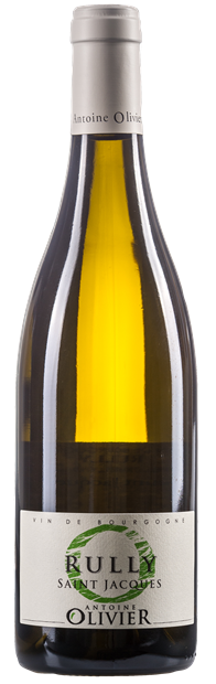 Thumbnail for Antoine Olivier, 'Saint Jacques', Rully  2022 75cl