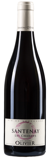 Antoine Olivier, Les Charmes Rouge, Santenay 2022 75cl