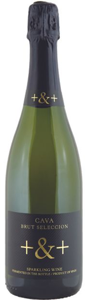 Thumbnail for Pinord, Cava '+ and + Seleccion' Brut NV 75cl