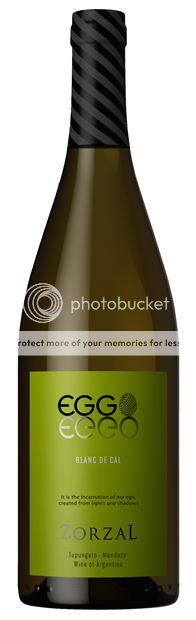 Zorzal 'Eggo Blanc de Cal', Tupungato, Sauvignon Blanc 2020 75cl