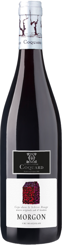 Beaujolais red wine bottle from Maison Coquard on a white background