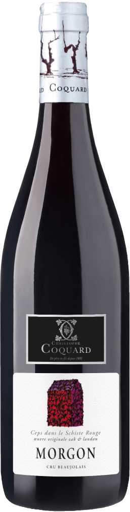 Beaujolais red wine bottle from Maison Coquard on a white background