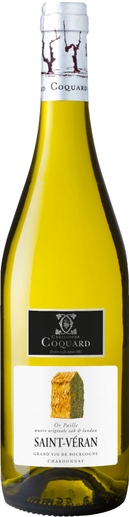 a bottle of Maison Coquard's Saint Veran white wine from Burgundy