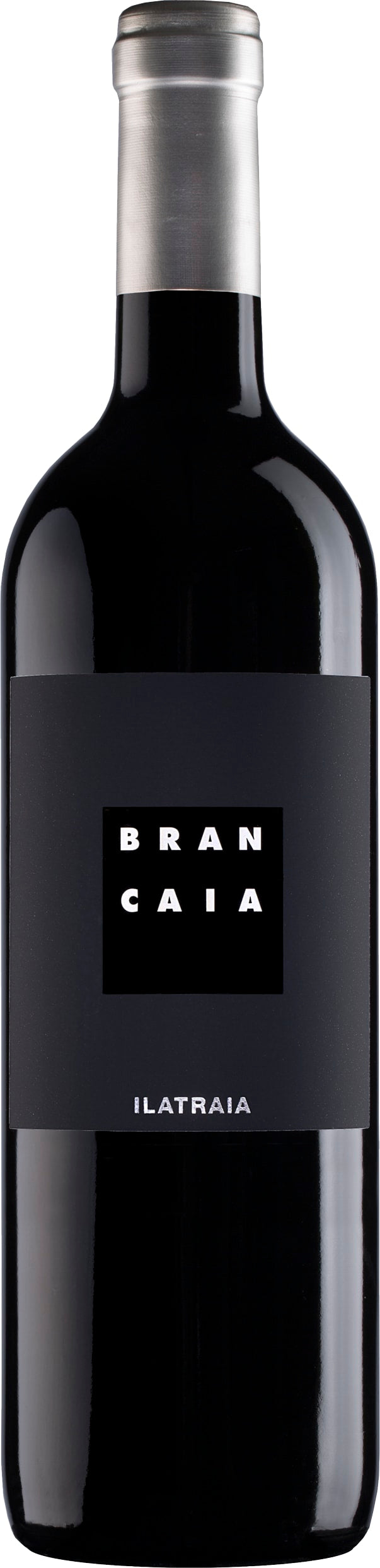 La Brancaia Ilatraia IGT Maremma, Brancaia 2017 150cl - Buy La Brancaia Wines from GREAT WINES DIRECT wine shop