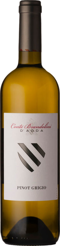 Thumbnail for Brandolini Pinot Grigio DOC Friuli 2021 75cl - Buy Brandolini Wines from GREAT WINES DIRECT wine shop
