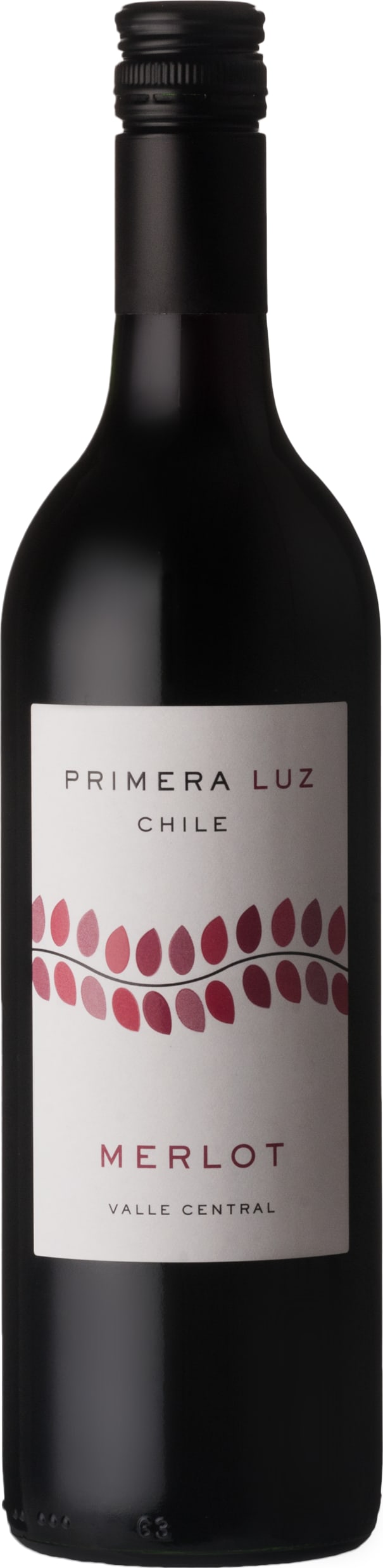 Primera Luz Merlot 2022 75cl - Buy Primera Luz Wines from GREAT WINES DIRECT wine shop