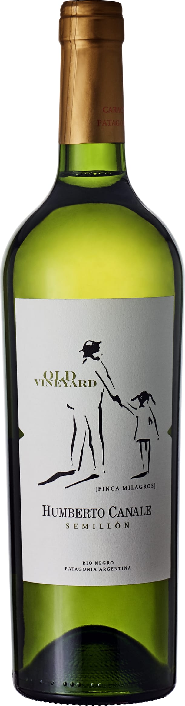 Humberto Canale Old Vine Semillon 2022 75cl - Buy Humberto Canale Wines from GREAT WINES DIRECT wine shop